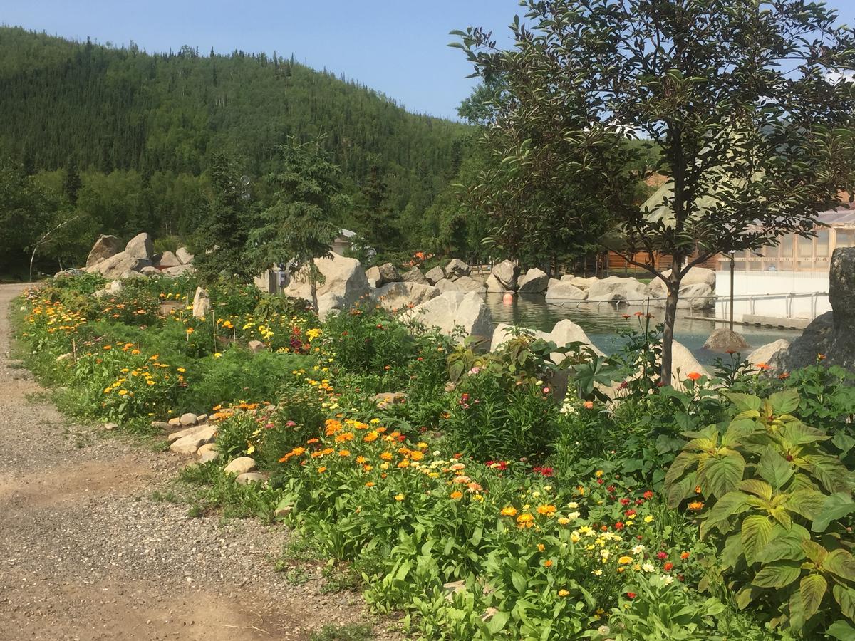 Chena Hot Springs Resort Kültér fotó